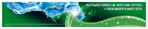 Closeup Menthol Fresh Toothpaste 160G