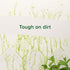 Cif Original 100% tough dirt removal Cream Cleaner for all surfaces 500ml