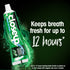 Closeup Menthol Fresh Toothpaste 160G