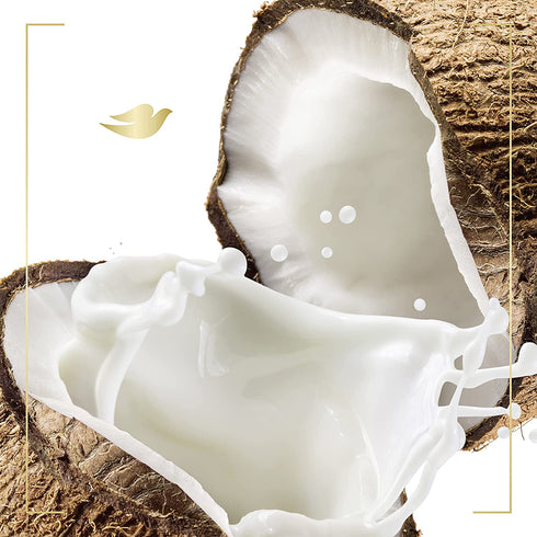Dove Restoring Body Wash with Coconut Butter 22oz