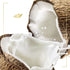 Dove Restoring Body Wash with Coconut Butter 22oz