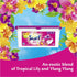 Surf 3 in 1 Coconut Bliss Laundry Washing Capsules 18 Washes
